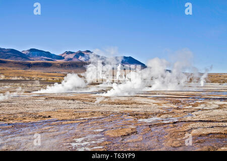 Sie haben am Tag Pause der Dampf aus den heißen Quellen der El Tatio Geysir Feld in der chilenischen Atacama Wüste hoch zu schätzen. Stockfoto