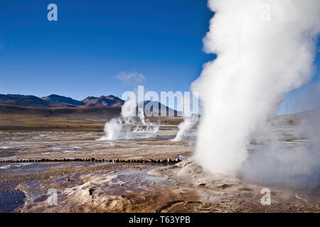 Sie haben am Tag Pause der Dampf aus den heißen Quellen der El Tatio Geysir Feld in der chilenischen Atacama Wüste hoch zu schätzen. Stockfoto