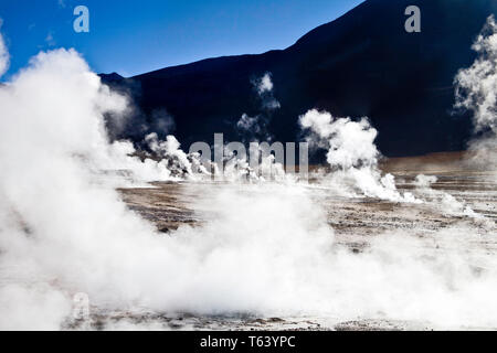 Sie haben am Tag Pause der Dampf aus den heißen Quellen der El Tatio Geysir Feld in der chilenischen Atacama Wüste hoch zu schätzen. Stockfoto