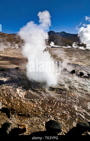 Sie haben am Tag Pause der Dampf aus den heißen Quellen der El Tatio Geysir Feld in der chilenischen Atacama Wüste hoch zu schätzen. Stockfoto