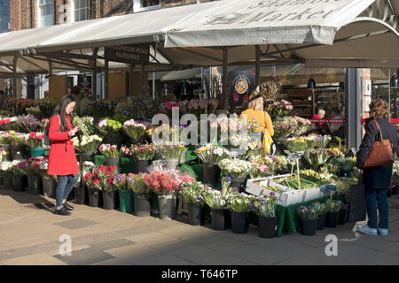 Besucher, die frische Blumen zum Verkauf auf einem Blumenmarkt im Stadtzentrum von York North Yorkshire England Großbritannien kaufen möchten Stockfoto