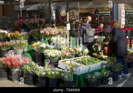 Frische Blumen zum Verkauf auf dem Freiluftmarkt im Stadtzentrum York North Yorkshire England UK Vereinigtes Königreich GB Großbritannien Stockfoto