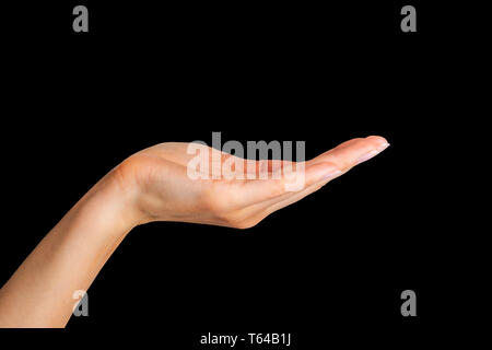 Frau, offene Hand oder etwas Holding auf schwarzem Hintergrund. Mit Freistellungspfad isoliert. Stockfoto