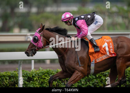 April 28, 2019 - Hongkong, USA - Sha Tin, Hongkong â € "APRIL 25: Schönheit Generatiion bei weichensystemen am 25. April in Sha Tin Rennstrecke in Hongkong vor dem Start in die FWD-Champions Meile. Michael Sportswire McInally/Eclipse/CSM Stockfoto
