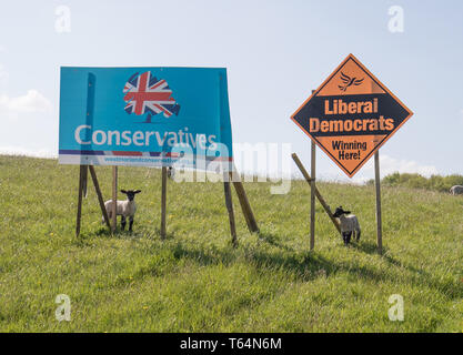 Cumbria, Großbritannien. 29 Apr, 2019. Zeichen im Feld für die Konservativen und die Liberaldemokraten mit neuen Lämmer Westmoald & Lonsdale constuincey Wo es ist immer ein enges Rennen zwischen Konservativen und Liberalen. Credit: Shoosmith/Alamy leben Nachrichten Stockfoto