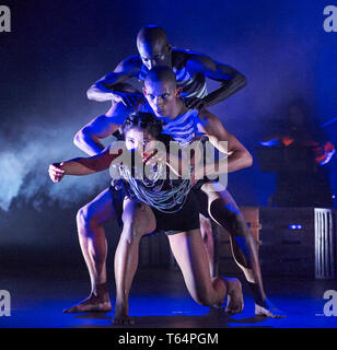 London, Großbritannien. 29 Apr, 2019. Vorschau von INALA - ein Zulu Ballett. Die Show wird in der Öffentlichkeit das Peacock Theater am 30. April und läuft noch bis zum 18. Mai. Quelle: Thomas Bowles/Alamy leben Nachrichten Stockfoto