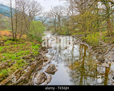 Das klare Wasser des Felsens gestreut Fluss Mawddach fließt zwischen bewaldeten Ufer auf einem dunstigen Frühling in Wales Stockfoto