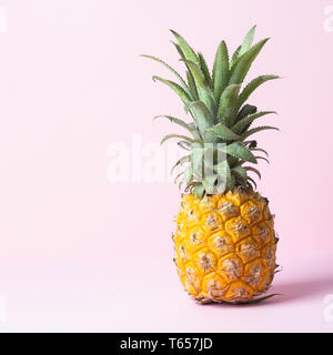 Gelb reife Ananas auf sanftem Rosa Hintergrund. Minimalismus. Kopieren Sie Platz. Stockfoto