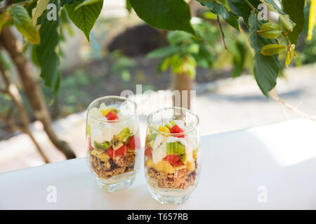 Frische hausgemachte tropisch-exotischen Müsli Müsli Joghurt Frühstück mit Obst schneidet Stockfoto