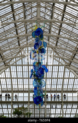 Dale Chihuly Ausstellung 'Perser' in den Gemäßigten Haus in Kew Gardens, London UK, Teil der "Reflexionen über die Natur". Stockfoto