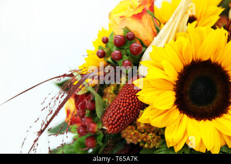 Sonnenblumen Stockfoto