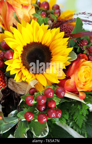 Sonnenblumen Stockfoto