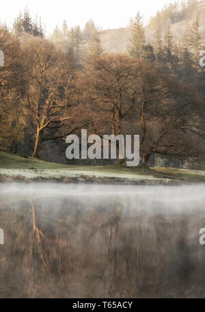 Einem nebligen Morgen auf dem Fluss Brathay in der Nähe von elterwater im Nationalpark Lake District, Cumbria England Großbritannien Stockfoto