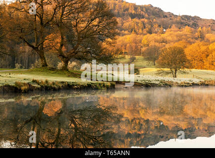 Einem nebligen Morgen auf dem Fluss Brathay in der Nähe von elterwater im Nationalpark Lake District, Cumbria England Großbritannien Stockfoto