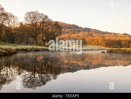 Einem nebligen Morgen auf dem Fluss Brathay in der Nähe von elterwater im Nationalpark Lake District, Cumbria England Großbritannien Stockfoto