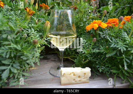 Weinglas mit trockener Wein innerhalb und Blasen und Stück harten Käse mit Löchern von Bush von schönen Nelke Blumen umgeben, auf hölzernen Tisch. Stockfoto