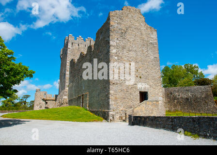 Ross Castle mit blauem Himmel, County Kerry, Irland Stockfoto