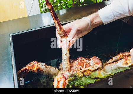 Küchenchef Restaurant in weiße Uniform hält frischen Big Kamtschatka Krabbe. Konzept gesunde Ernährung, Lebensstil, nützlich, Meeresfrüchte, Zartheit, Diät, in der Stockfoto