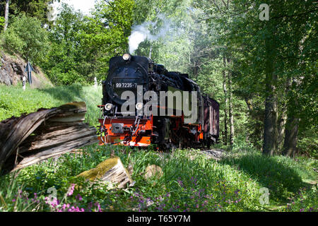 Narrow-Gauge Eisenbahn Harzquerbahn genannt, Selketal, Harz, Deutschland Stockfoto