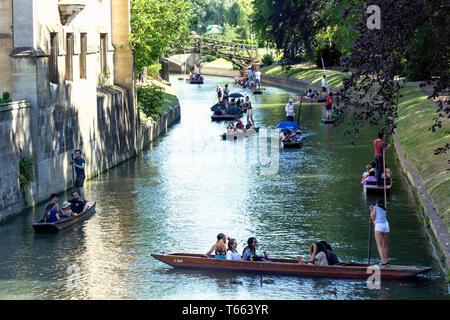 Stocherkähne auf dem Fluss Cam, Cambridge, Cambridgeshire, England, Vereinigtes Königreich Stockfoto