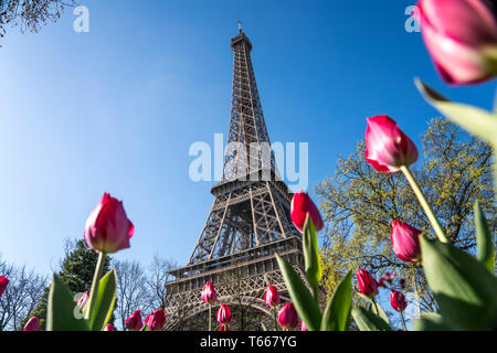 Frühling mit Tulpen vor dem Eiffelturm in Paris, Frankreich | Frühling mit Tulpen auf dem Eiffelturm, Paris, Frankreich Stockfoto