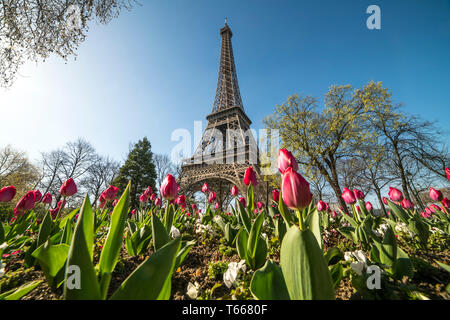 Frühling mit Tulpen vor dem Eiffelturm in Paris, Frankreich | Frühling mit Tulpen auf dem Eiffelturm, Paris, Frankreich Stockfoto