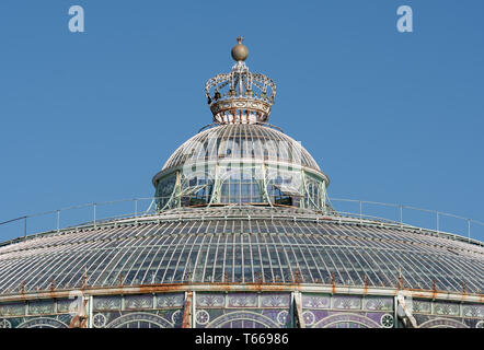 Der Wintergarten mit Krone auf, Teil der Königlichen Gewächshäuser von Laeken. Das Schloss von Laeken ist die offizielle Residenz der belgischen Monarchie. Stockfoto