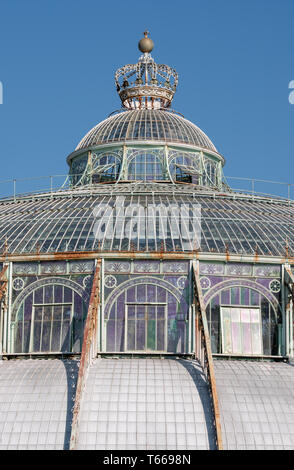 Der Wintergarten mit Krone auf, Teil der Königlichen Gewächshäuser von Laeken. Das Schloss von Laeken ist die offizielle Residenz der belgischen Monarchie. Stockfoto