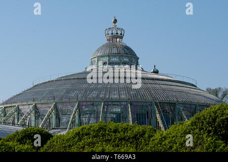 Der Wintergarten mit Krone auf, Teil der Königlichen Gewächshäuser von Laeken. Das Schloss von Laeken ist die offizielle Residenz der belgischen Monarchie. Stockfoto