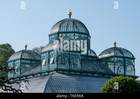 Die Königlichen Gewächshäuser in Laeken besteht aus einem Komplex von einer Reihe von Gewächshäusern, die die Demokratische Republik Kongo von Treibhausgasen gehören. Stockfoto