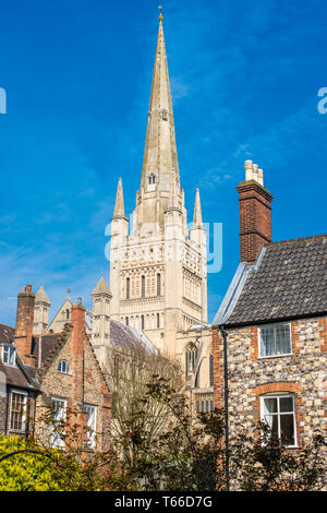 Norwich Cathedral im Stadtzentrum von Norwich, Norfolk, East Anglia, England, UK. Stockfoto