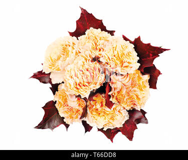 Bunte Herbst flower bouquet aus gelben Rosen Stockfoto