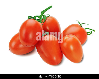 Rote Tomaten auf der Rebe isoliert auf weißem backgro Stockfoto