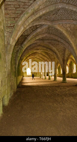 Fountains Abbey, Yorkshire, Großbritannien Stockfoto