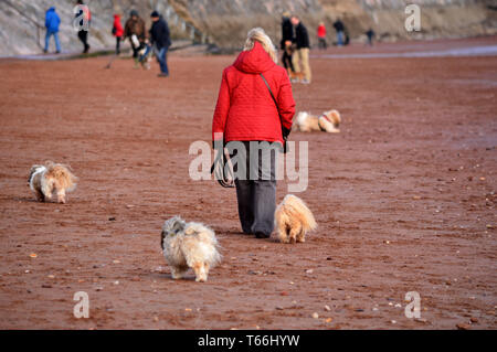 Roten Anorak Frau mit Hunde Stockfoto