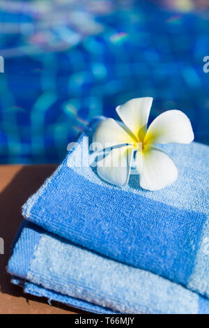 Flauschige blaue Handtuch mit plumeria frangipani Blume an der Grenze von einem Pool Stockfoto