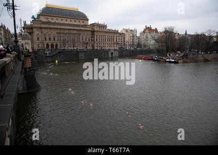 Schwimmer Rennen in der Moldau durch Nationaltheater von Legion Bridge, Prag, Tschechische Republik Stockfoto