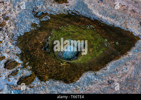 Große Steine in den Felsenpools entlang der Küste bei Montana Amarilla, Yellow Mountain, Teneriffa, Kanarische Inseln, Spanien Stockfoto