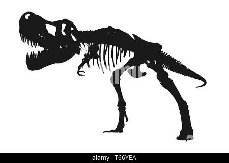 Tyrannosaurus Rex Skelett Silhouette auf isolierten weißen Hintergrund. Vektor. Stock Vektor