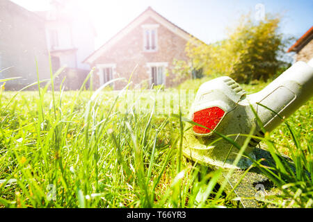 Nahaufnahme der schlagbesen Kapper besäumkreissäge Schneiden grüne Gras an den Hinterhof Stockfoto