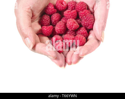 Nahaufnahme von Frau Hände, die Himbeeren Draufsicht ausgeschnitten. Gesunde Ernährung Konzept Stockfoto