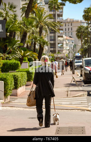 CANNES, Frankreich - April 2019: Person zu Fuß einen kleinen Hund an der Strandpromenade von Cannes. Stockfoto