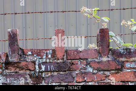 Stacheldrahtzaun auf einer Mauer Stockfoto