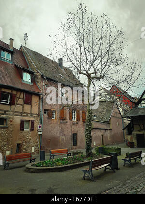 Eguisheim Dorfplatz mit Fachwerkhäuser mittelalterlichen Häusern entlang im Elsass, Frankreich. Ein Baum mit Bänken und alten Gebäuden umgeben. Stockfoto
