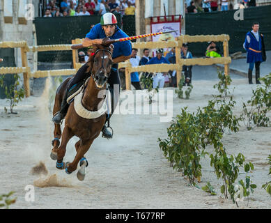 Ritter auf Pferd während Fischerstechen. Sulmona Abruzzen Stockfoto