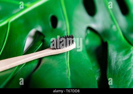 Holz Bambus Zahnbürste auf grünes Blatt. Speichern Sie die Planeten oder keine Kunststoff-Konzept. Ansicht von oben, flatlay, kopieren Raum Stockfoto