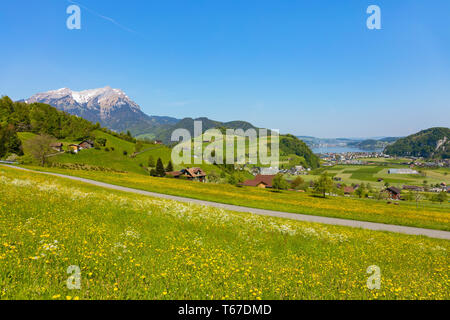 Blick vom Fuß des Mt. Im Schweizer Kanton Nidwalden in Richtung See Luzern Stanserhorn Anfang Mai. Gipfel des Mt. Pilatus auf der linken Seite Stockfoto