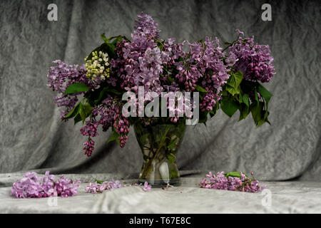Strauß Flieder in ein Glas Vase. Einen Strauß Flieder auf einer weißen Tischdecke Tisch. Stockfoto