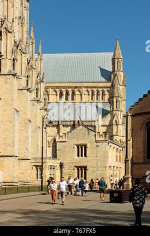 York Minster Süden Trancept Stockfoto