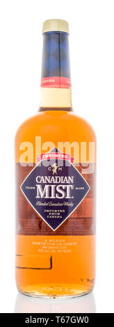 Winneconne, WI - 22. April 2019: eine Flasche Canadian Mist Whiskey in einem isolierten Hintergrund Stockfoto